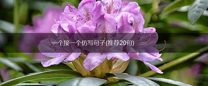 一个接一个仿写句子(推荐20句),第1张
