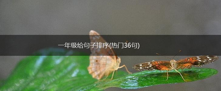 一年级给句子排序(热门36句),第1张