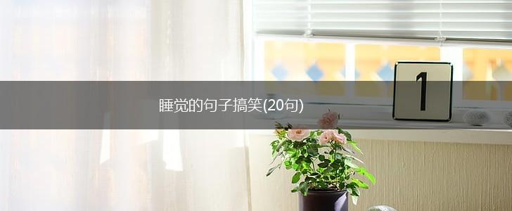 睡觉的句子搞笑(20句),第1张