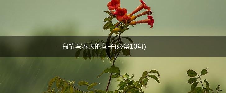 一段描写春天的句子(必备10句),第1张