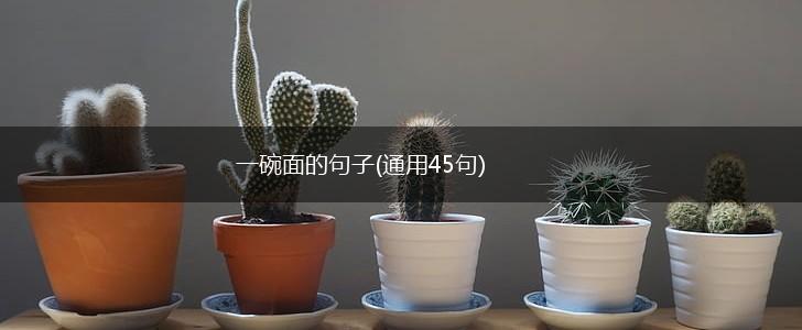 一碗面的句子(通用45句),第1张