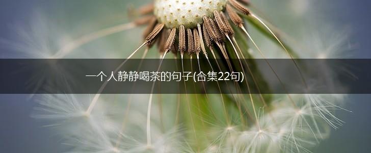 一个人静静喝茶的句子(合集22句),第1张