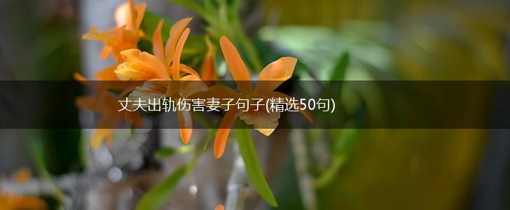 丈夫出轨伤害妻子句子(精选50句),第1张