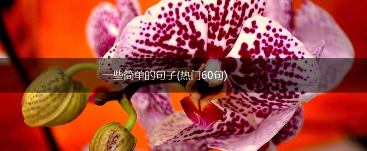 一些简单的句子(热门60句),第1张