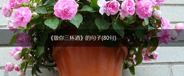 《敬你三杯酒》的句子(80句),第1张