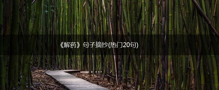 《解药》句子摘抄(热门20句),第1张