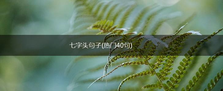 七字头句子(热门40句),第1张