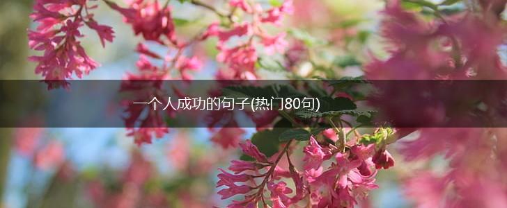一个人成功的句子(热门80句),第1张