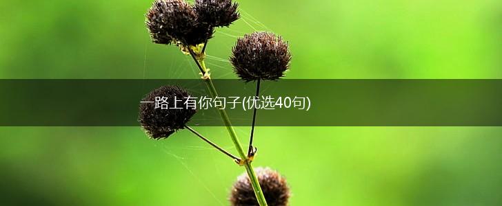 一路上有你句子(优选40句),第1张