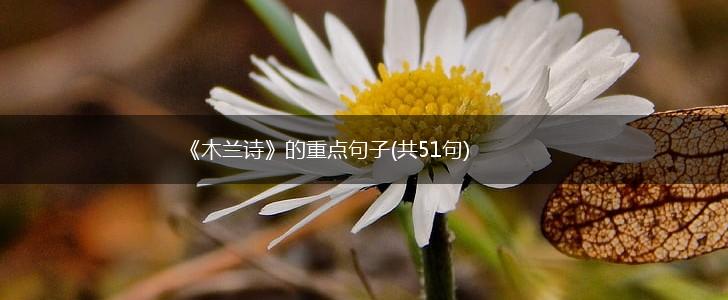 《木兰诗》的重点句子(共51句),第1张