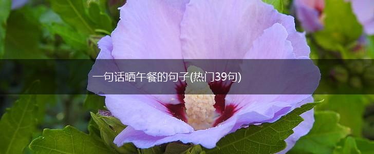 一句话晒午餐的句子(热门39句),第1张