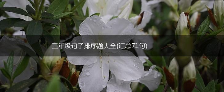 三年级句子排序题大全(汇总71句),第1张