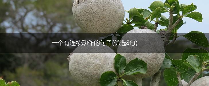 一个有连续动作的句子(优选8句),第1张