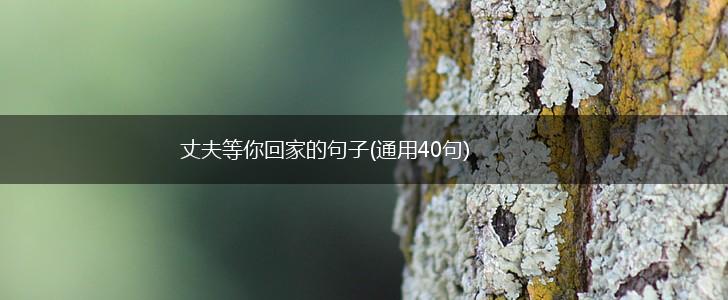 丈夫等你回家的句子(通用40句),第1张
