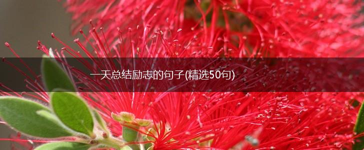 一天总结励志的句子(精选50句),第1张