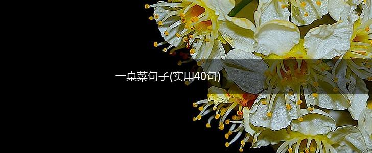 一桌菜句子(实用40句),第1张