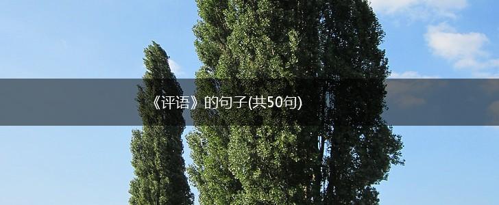 《评语》的句子(共50句),第1张