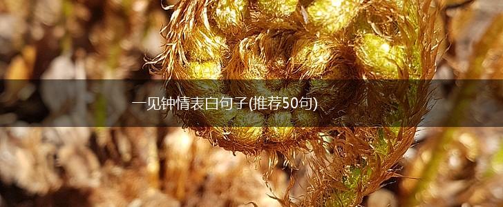 一见钟情表白句子(推荐50句),第1张