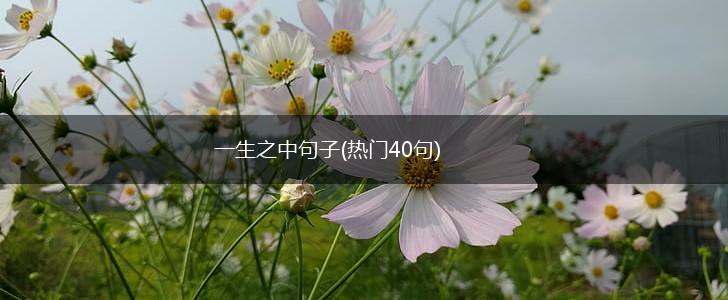 一生之中句子(热门40句),第1张
