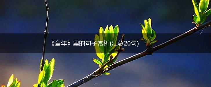 《童年》里的句子赏析(汇总20句),第1张