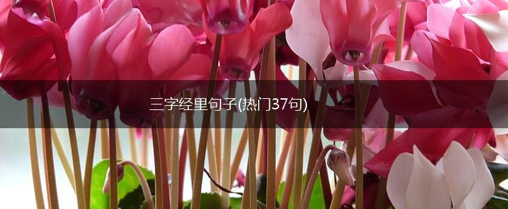 三字经里句子(热门37句),第1张