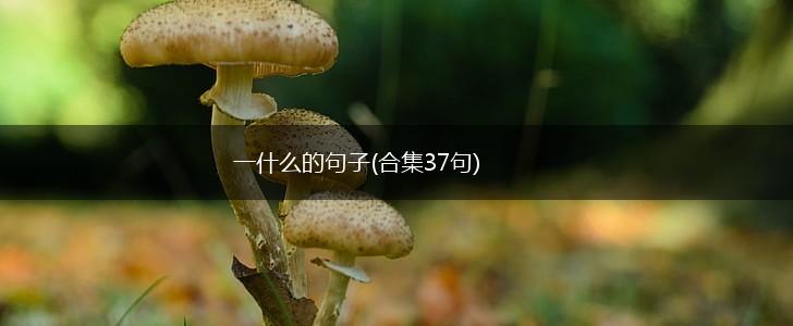 一什么的句子(合集37句),第1张