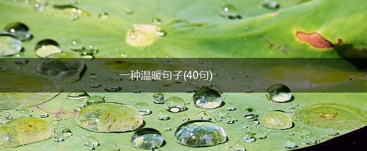 一种温暖句子(40句),第1张