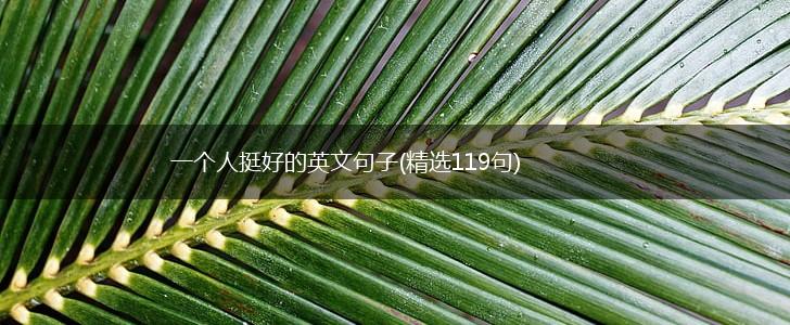 一个人挺好的英文句子(精选119句),第1张