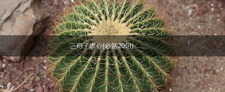 三句子虐心(必备20句),第1张