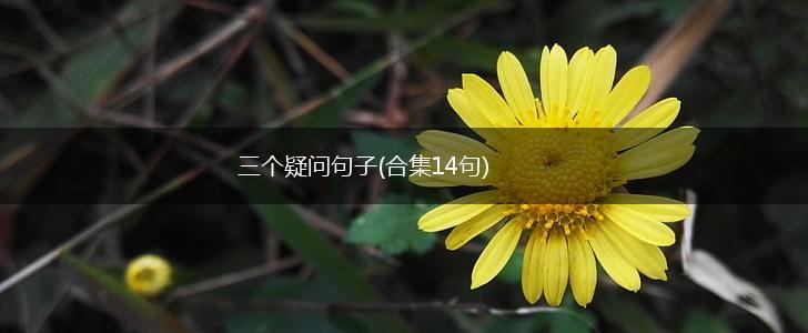 三个疑问句子(合集14句),第1张