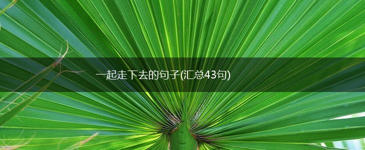一起走下去的句子(汇总43句),第1张