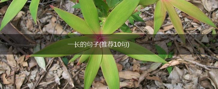 一长的句子(推荐10句),第1张