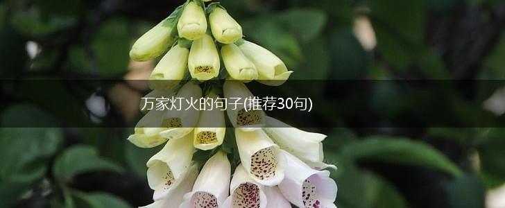 万家灯火的句子(推荐30句),第1张