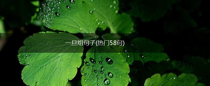 一旦组句子(热门58句),第1张