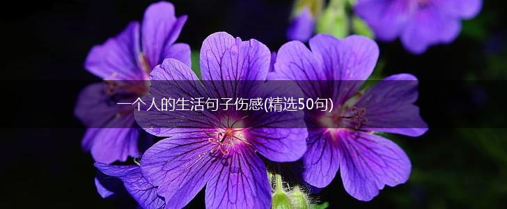 一个人的生活句子伤感(精选50句),第1张
