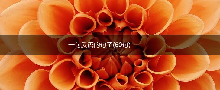 一句反语的句子(60句),第1张