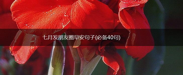 七月发朋友圈早安句子(必备40句),第1张