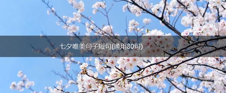 七夕唯美句子短句(通用80句),第1张
