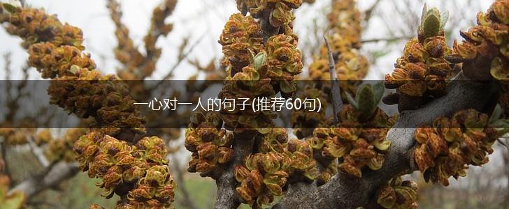 一心对一人的句子(推荐60句),第1张