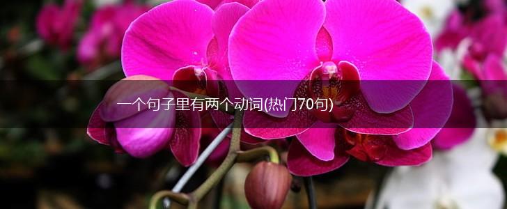 一个句子里有两个动词(热门70句),第1张