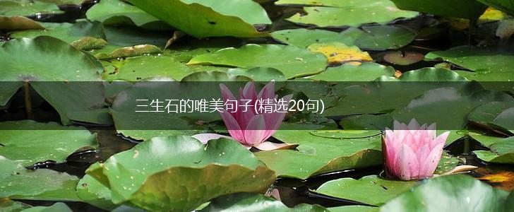 三生石的唯美句子(精选20句),第1张