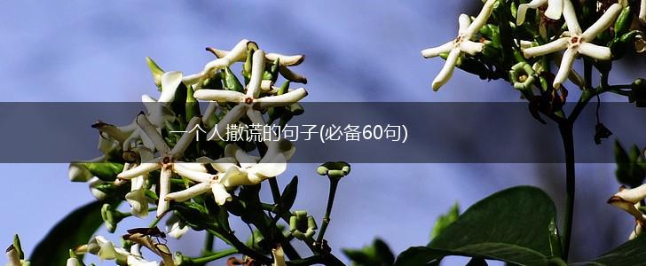 一个人撒谎的句子(必备60句),第1张
