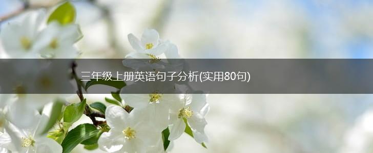三年级上册英语句子分析(实用80句),第1张