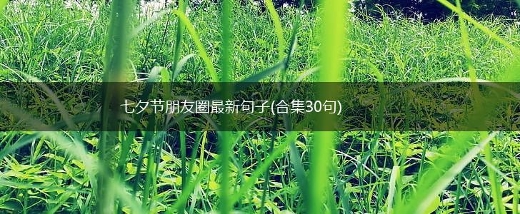 七夕节朋友圈最新句子(合集30句),第1张