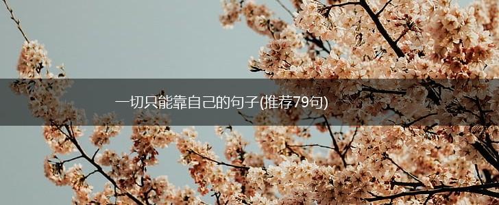 一切只能靠自己的句子(推荐79句),第1张