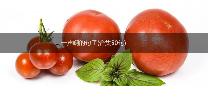 一声啊的句子(合集50句),第1张