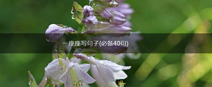 一座座写句子(必备40句),第1张