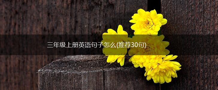 三年级上册英语句子怎么(推荐30句),第1张
