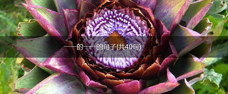 一一的一一的句子(共40句),第1张