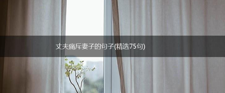 丈夫痛斥妻子的句子(精选75句),第1张